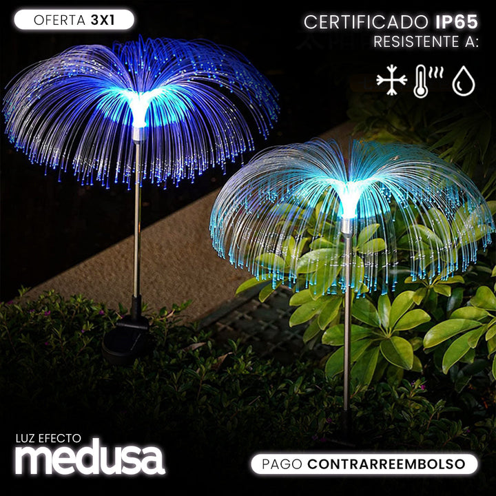 Luz Solar Efecto Medusa