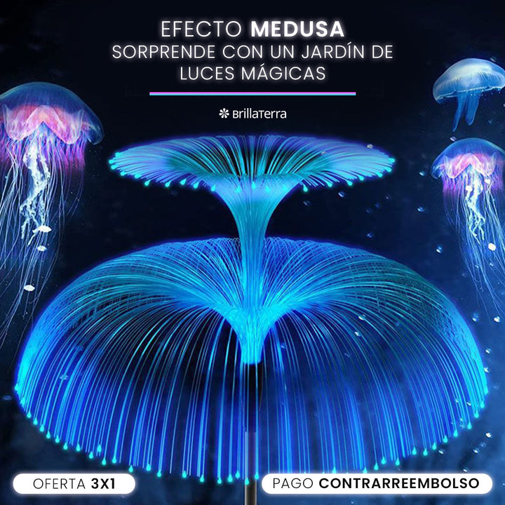 Luz Solar Efecto Medusa